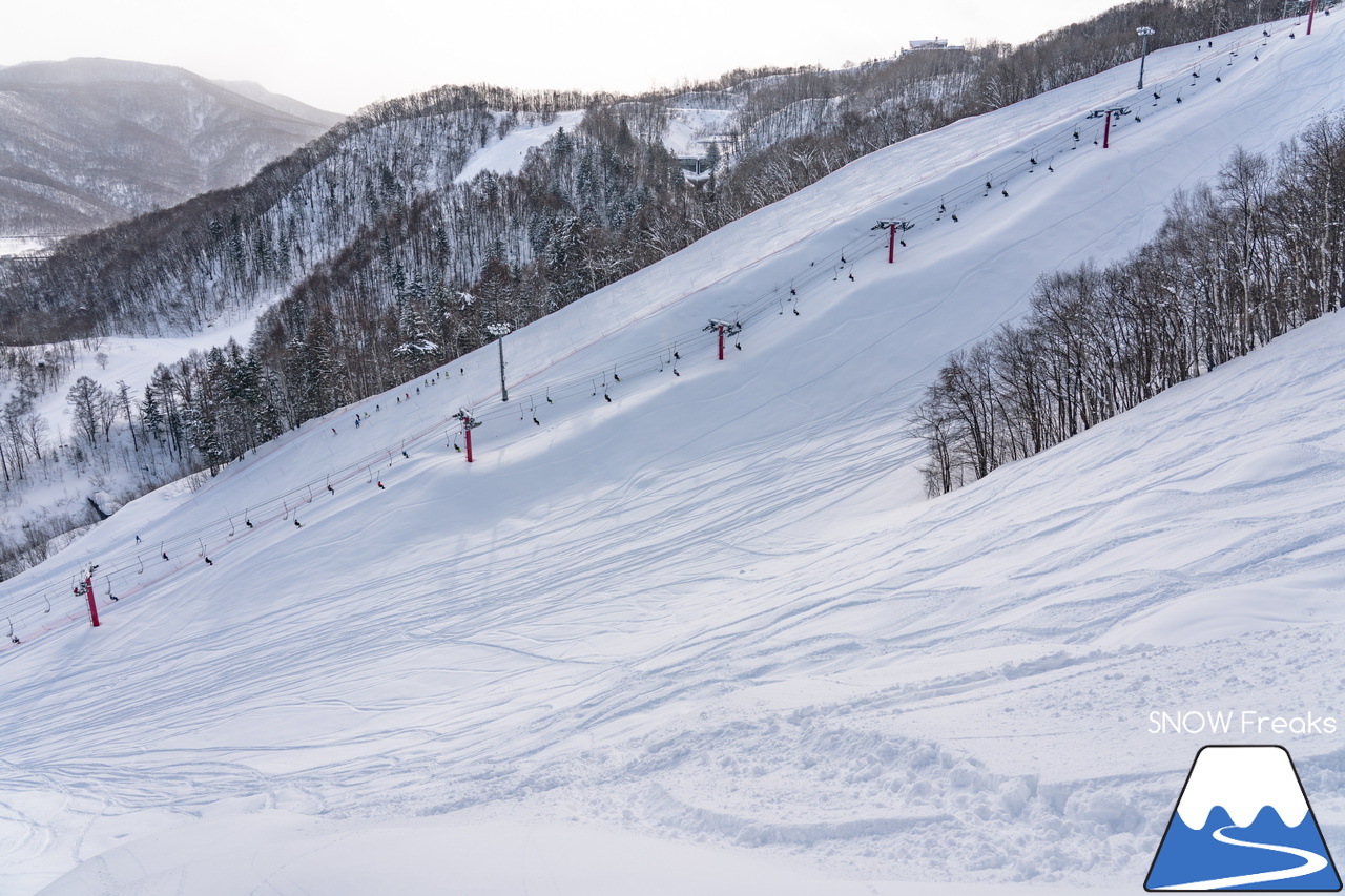 朝里川温泉スキー場｜祝・粉雪復活！競争率ゼロのゲレンデでパウダー三昧♪